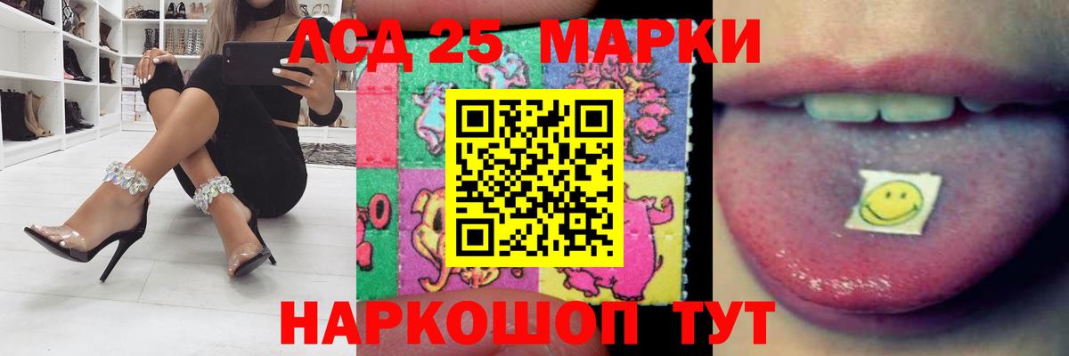 Бошки Шишки Кызыл