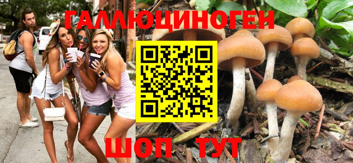Псилоцибиновые грибы MAGIC MUSHROOMS Кызыл